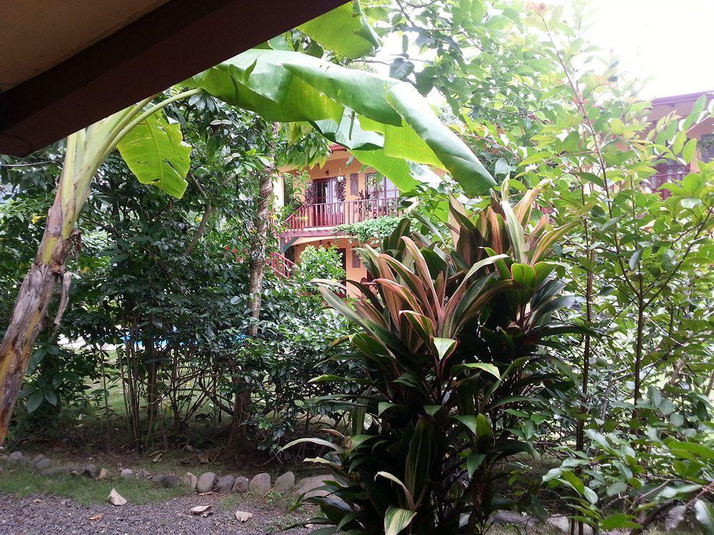 Hotel Green Jaco Exterior photo