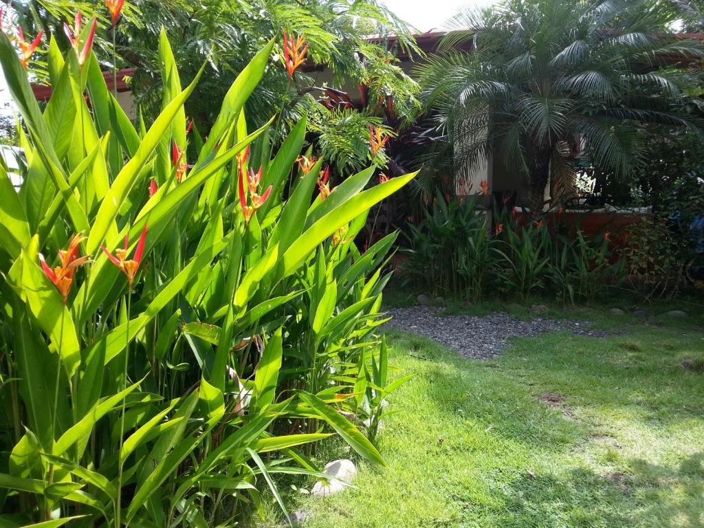 Hotel Green Jaco Exterior photo