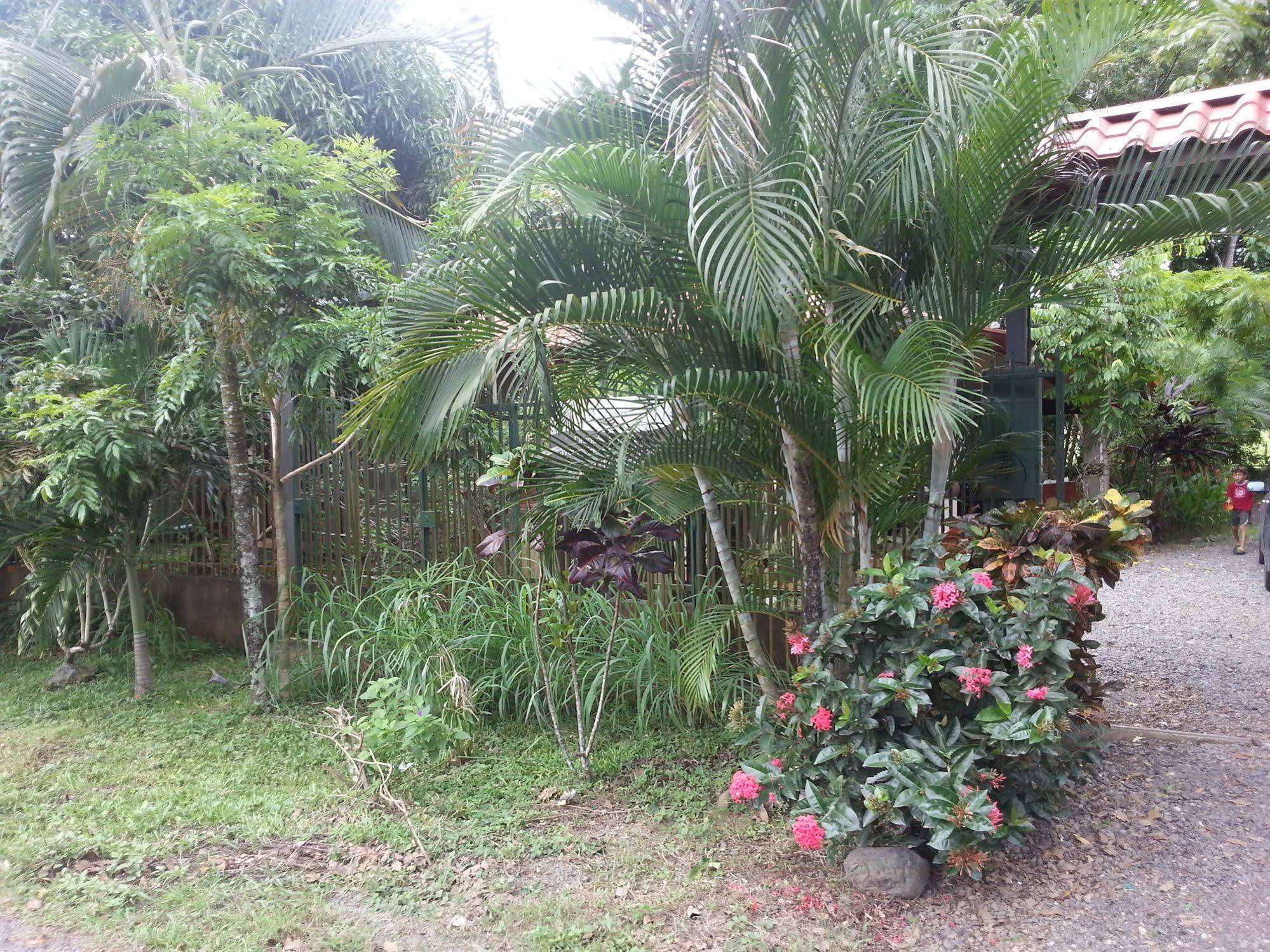 Hotel Green Jaco Exterior photo